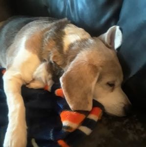 Meet your Posher, Pat